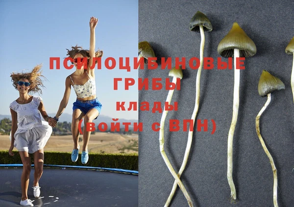 экстази Алексин