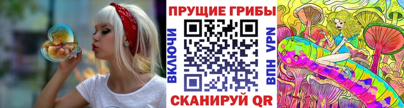 где купить наркоту  Талдом  Псилоцибиновые грибы мицелий 